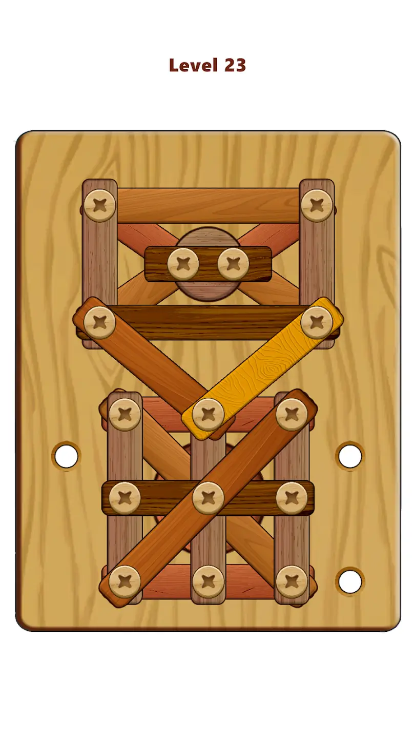 Wood Nuts & Bolts Puzzle